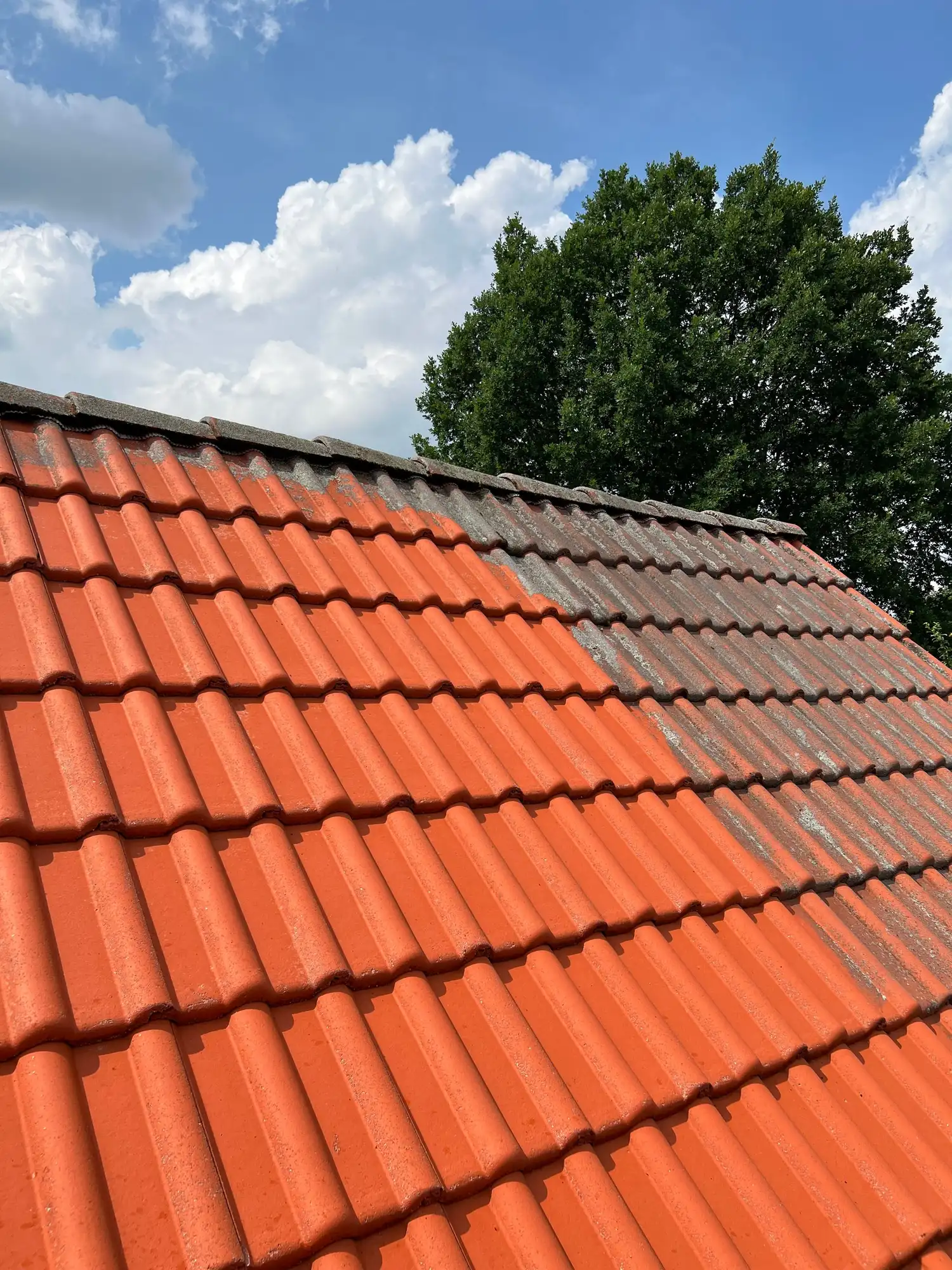 Referenzprojekt von Steinstar in Berlin